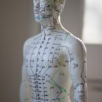 MÉRIDIENS ACUPUNCTURE